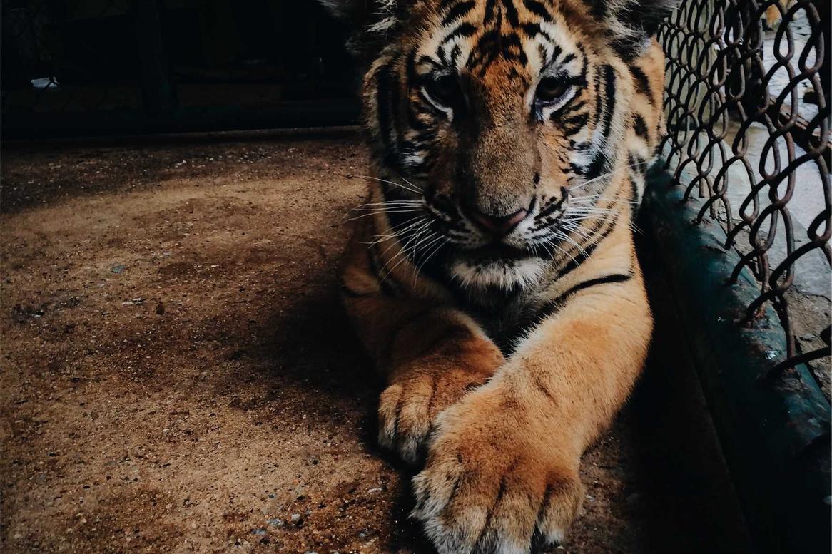 Est ipsam exercitationem nisi magni