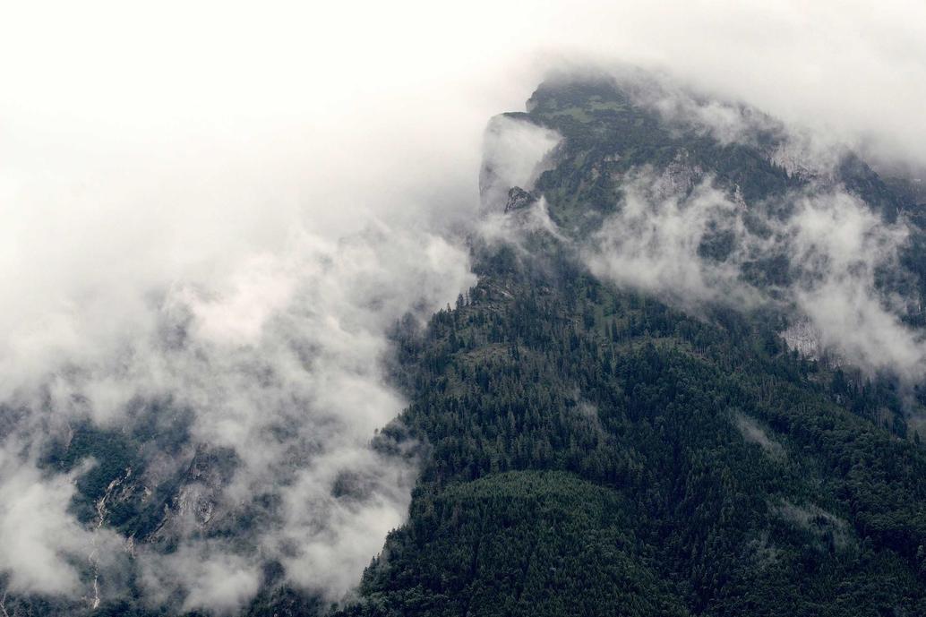 Ut qui et ducimus sed dolorum